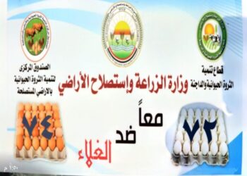 ” الزراعة” تطرح كميات من بيض المائدة بمنافذها الثابتة والمتحركة بسعر 72 جنيه للكرتونة