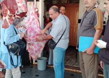 تحرير 1380 مخالفة خلال الحملات التفتيشية لمراقبة الأسواق