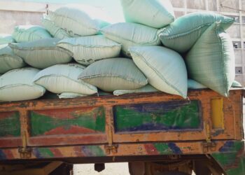 مواقع تخزين الأرز بالغربية تستقبل 30879 طن خلال موسم 2022