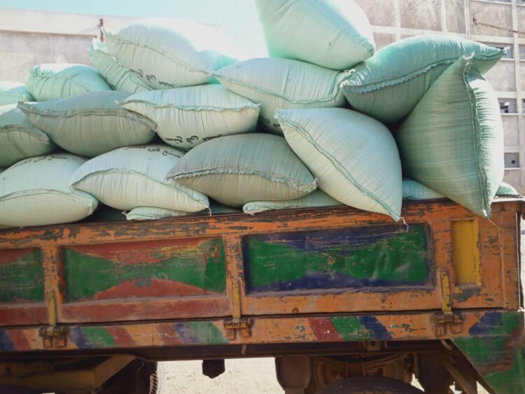 مواقع تخزين الأرز بالغربية تستقبل 30879 طن خلال موسم 2022