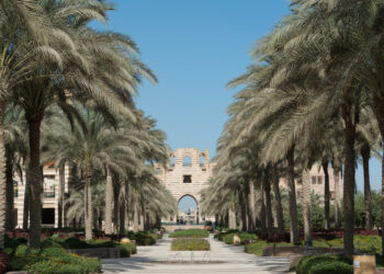 الجامعة الأمريكية بالقاهرة تطلق تخصصا جديدا في علم الأعصاب السلوكي