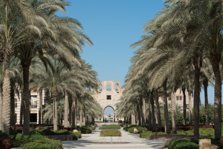 الجامعة الأمريكية بالقاهرة تطلق تخصصا جديدا في علم الأعصاب السلوكي 1 الجامعة الأمريكية بالقاهرة تطلق تخصصا جديدا في علم الأعصاب السلوكي