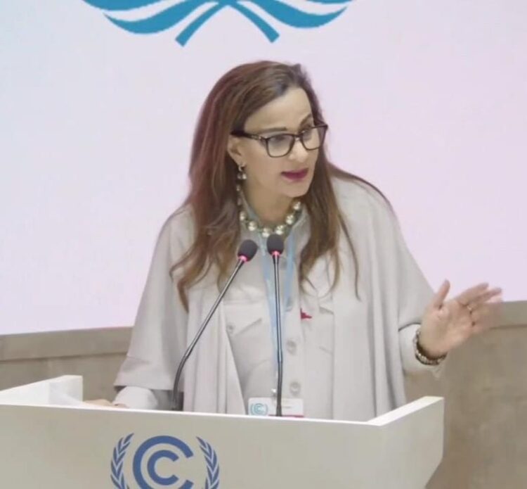 فاينانشيال تايمز : شيرى رحمن من أكثر 25 إمرأة تأثيرا لعام 2022