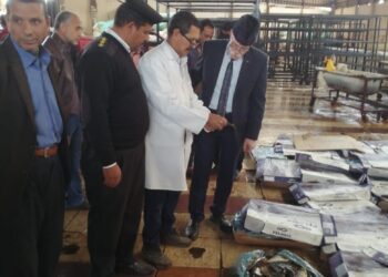 الطب البيطري يتحفظ على 2 طن أسماك منتهية الصلاحية بكفر الزيات