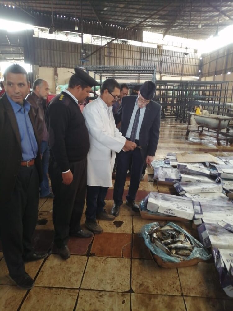 الطب البيطري يتحفظ على 2 طن أسماك منتهية الصلاحية بكفر الزيات