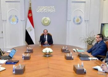 السيسي يتابع جهود توطين صناعة مراكب الصيد في مصر