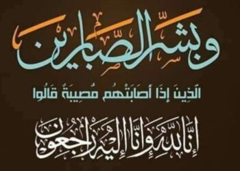 الكاتب الصحفى النائب محمود الشاذلى ينعى الدكتور محمد رجائى .