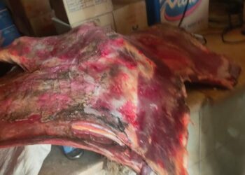 أسعار اللحوم بالمجمعات الاستهلاكية تبدأ من 60 جنيهًا.. اليوم السبت