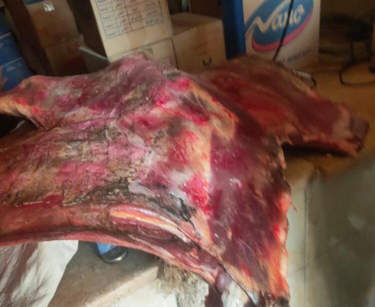 أسعار اللحوم بالمجمعات الاستهلاكية تبدأ من 60 جنيهًا.. اليوم السبت