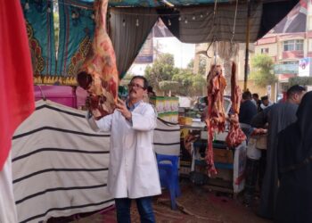 لجنة الرقابة على الأسواق تحرر 51 محضر خلال حملاتها التفتيشية بالمحلة وقطور والطب البيطري يضبط 284 كجم من اللحوم