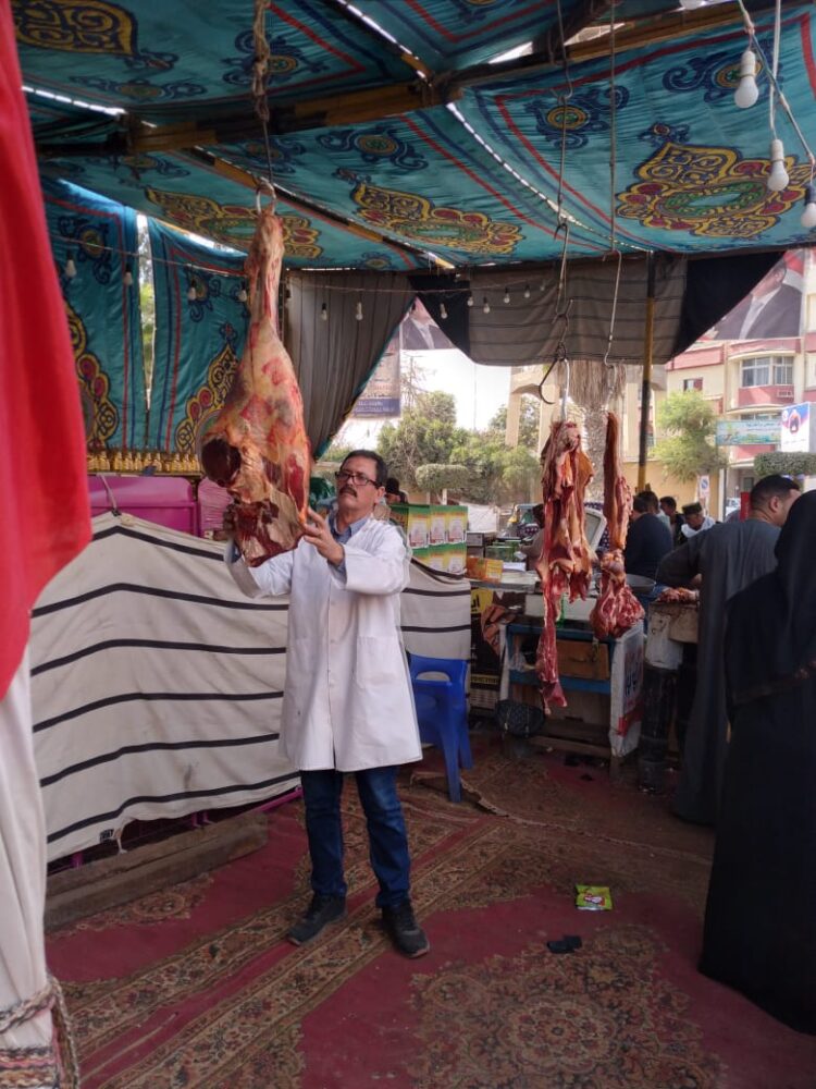 لجنة الرقابة على الأسواق تحرر 51 محضر خلال حملاتها التفتيشية بالمحلة وقطور والطب البيطري يضبط 284 كجم من اللحوم