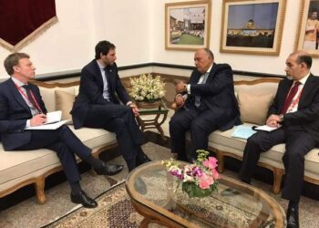 شكري يبحث مع نظيره الهولندي سبل تعزيز العلاقات الثنائية