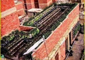 نجع العون في محافظة البحيرة