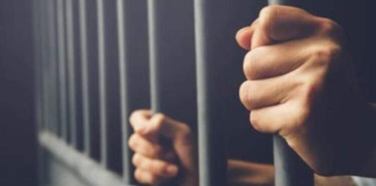 استمرار الحملات التفتيشية على المحلات التجارية بالقصير 1 استمرار الحملات التفتيشية على المحلات التجارية بالقصير