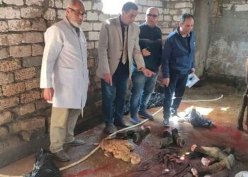 ضبط مواطن يذبح حصانين لبيعهما للجمهور بإحدى قري الدقهلية