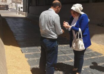 توريد 163 ألف 947 طن من القمح بمخازن الغربية بنسبة 93,95%