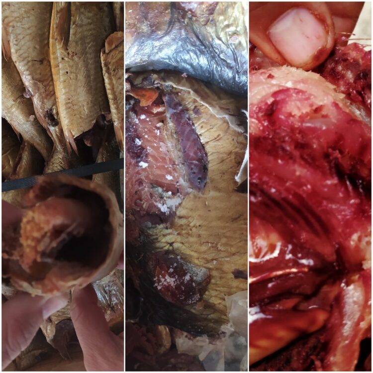 ضبط 76 طن مخللات و3 طن أسماك و406 منتج ألبان و535 سلعة غذائية غير صالحة 1 ضبط 76 طن مخللات و3 طن أسماك و406 منتج ألبان و535 سلعة غذائية غير صالحة