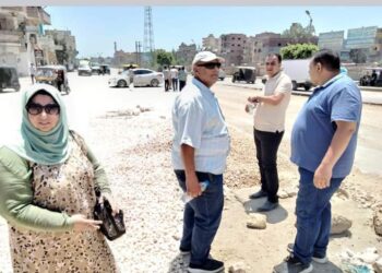 شمس التنمية والجمال تشرق على مداخل مدينة الحامول