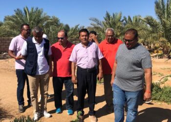 الأنشطة بقطاع الزراعة بمدينة نويبع