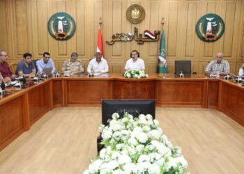 محافظ المنوفية يشدد على الأرشفة الإلكترونية لملفات التقنين والتصالح