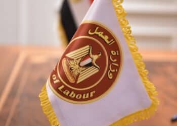 وزارة العمل : تشغيل 35 من ذوي الهمم بالسويس