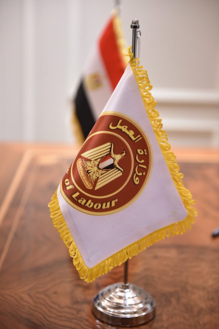 وزارة العمل : تشغيل 35 من ذوي الهمم بالسويس
