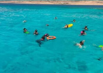 استمرار معسكر يلا كامب بمدينه دهب