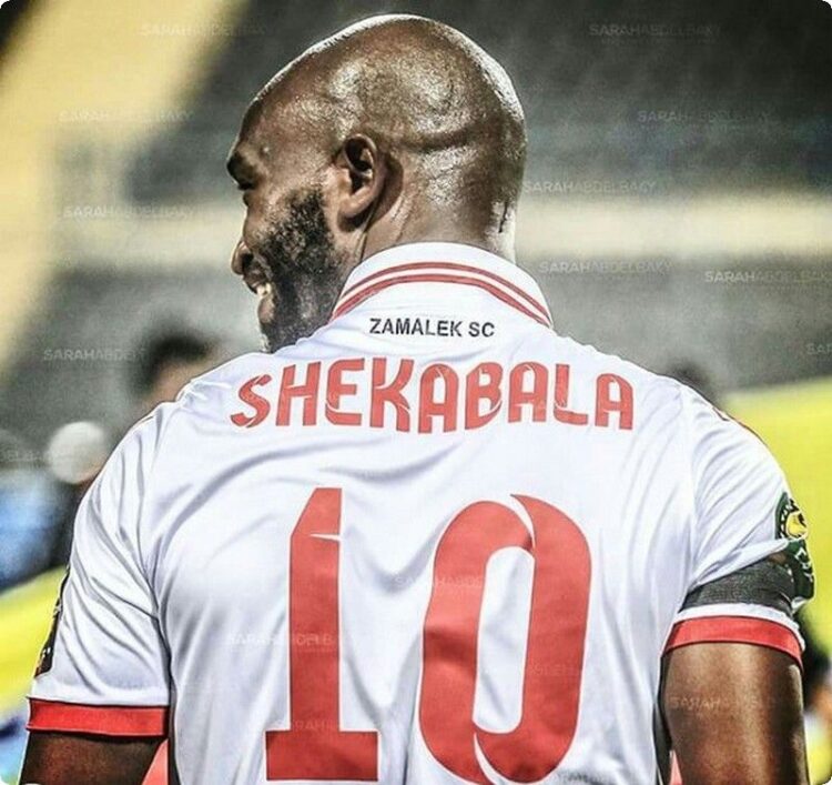 نجم منتخب الإمارات السابق :شيكابالا رغم كبر عمره لكنه قدم نفسه بشكل جيد