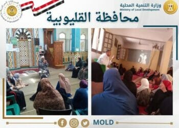 وزارة التنمية المحلية تتابع جهود وحدات السكان في المحافظات لتعزيز التعاون لخدمة القضية السكانية