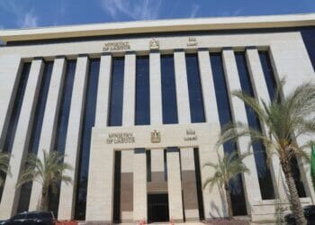 وزارة العمل تعلن عن 4120 فرصة عمل في 11 محافظة لذوي همم وتوجه المديريات بالمتابعة