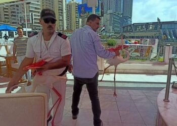 البيئة: ضبط عدد من طيور الفلامنجو بأحد الكافتريات بالإسكندرية، وتسليمها لحديقة الحيوان واتخاذ الاجراءات القانونية تجاه المخالفين