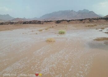 الدكتور سويلم يتابع موقف التعامل مع الأمطار الغزيرة التي تساقطت علي منطقة سانت كاترين بجنوب سيناء