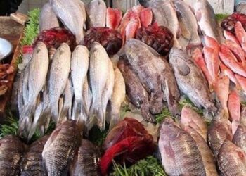 أسعار السمك اليوم الجمعة بسوق العبور