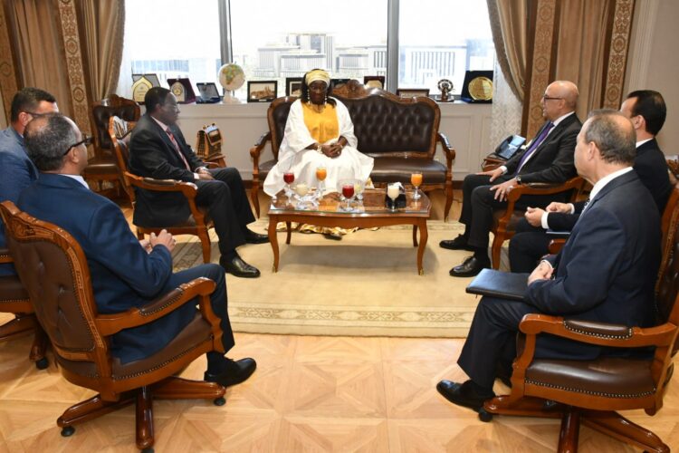 الجزار: الدولة المصرية مستعدة لمشاركة خبراتها الواسعة في مجال التنمية العمرانية مع أشقائنا فى الكاميرون