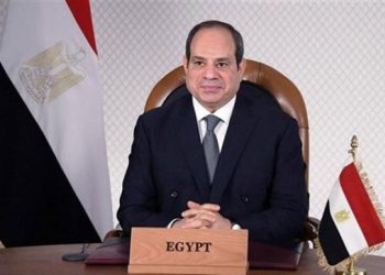 نص كلمة الرئيس السيسي في قمة العشرين