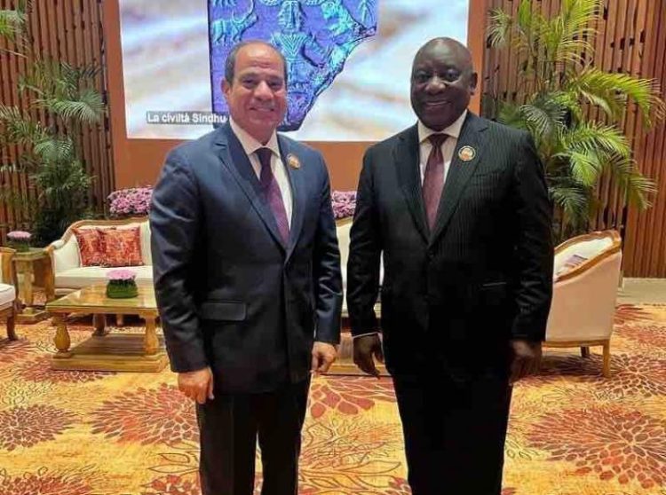 السيسي يلتقي نظيره الجنوب إفريقي على هامش انعقاد قمة مجموعة العشرين