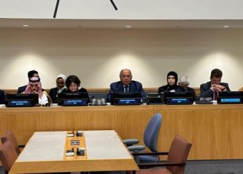 وزير الخارجية يطالب بتضافر الجهود الدولية لسد الفجوات التمويلية للأزمة في السودان