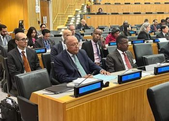 وزير الخارجية يشارك في الاجتماع رفيع المستوى لمجموعة أصدقاء مبادرة التنمية العالمية