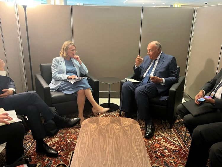 وزير الخارجية يشيد بالتوجه الاستثماري للشركات النرويجية نحو مصر 1 وزير الخارجية يشيد بالتوجه الاستثماري للشركات النرويجية نحو مصر