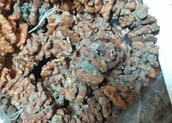 هيئة سلامة الغذاء بالغربية تضرب بيد من حديد علي تجار الحلويات ضبط حلويات منتهية الصلاحية