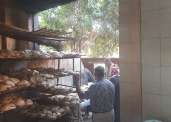 تحرير 570 محضر تموينى وضبط 4.5طن دقيق و نخالة مجهولة المصدر بنطاق محافظة المنوفية
