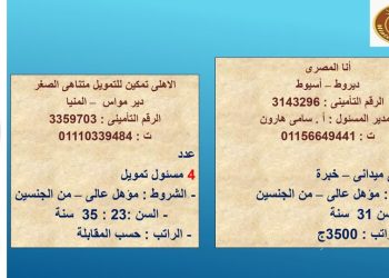 وزارة العمل تصدر  نشرة التوظيف نصف الشهرية