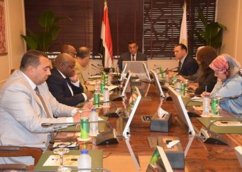 وزير التنمية المحلية يبحث مع  مستشار نائب رئيس جمهورية جنوب أفريقيا مجالات التعاون المشترك بين الجانبين