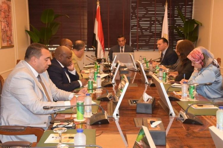 وزير التنمية المحلية يبحث مع  مستشار نائب رئيس جمهورية جنوب أفريقيا مجالات التعاون المشترك بين الجانبين