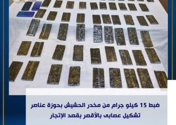 قيام عاطل بتكوين تشكيل عصابى تخصص فى الإتجار بالمواد المخدرة.