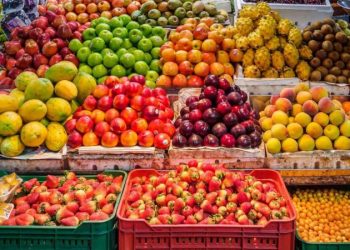 أسعار الفاكهة اليوم السبت 2023/9/9.. والجوافة بـ 20 جنيها