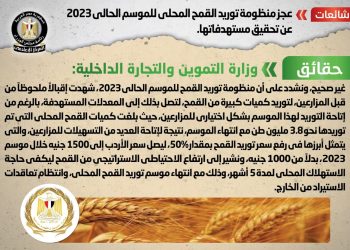 عجز منظومة توريد القمح المحلي للموسم الحالي 2023 عن تحقيق مستهدفاتها