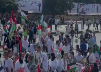 جمعة تحيا مصر.. ملايين المصريين يدعمون فلسطين في الشوارع