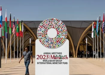 مسؤول إفريقي ينتقد سياسة الإقراض لصندوق النقد والبنك الدولي