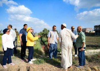 وزيرة البيئة تتوجه بالشكر للحماية المدنية فى إطفاء الاشتعالات الناتجة عن حرق القش